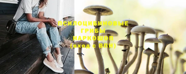 таблы Арсеньев