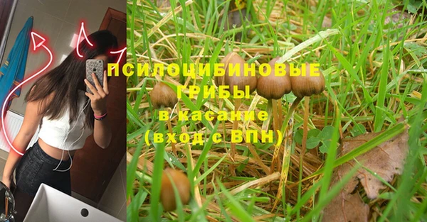тгк Аркадак