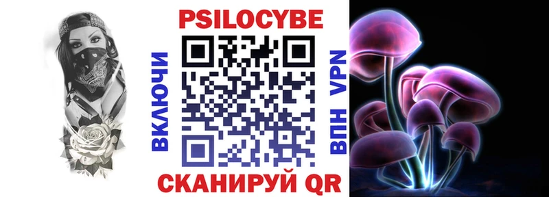 Псилоцибиновые грибы Psilocybe  Михайловка 